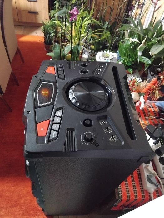 De vânzare boxă portabilă activă stereo PSBTST810