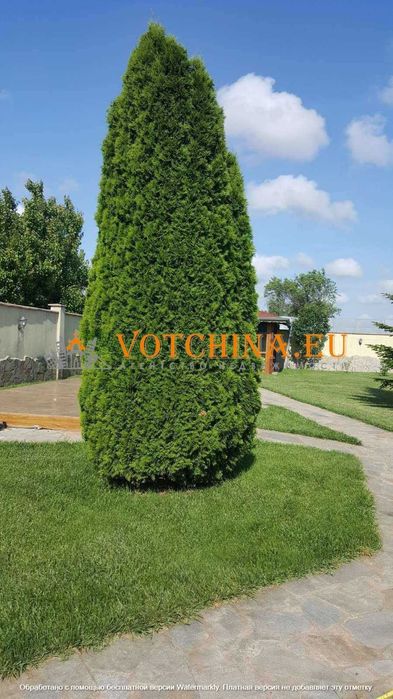 Продава се Къща в с. Езерец, Област Добрич - 150 кв.м за 1374 €/кв.м - Снимка #7