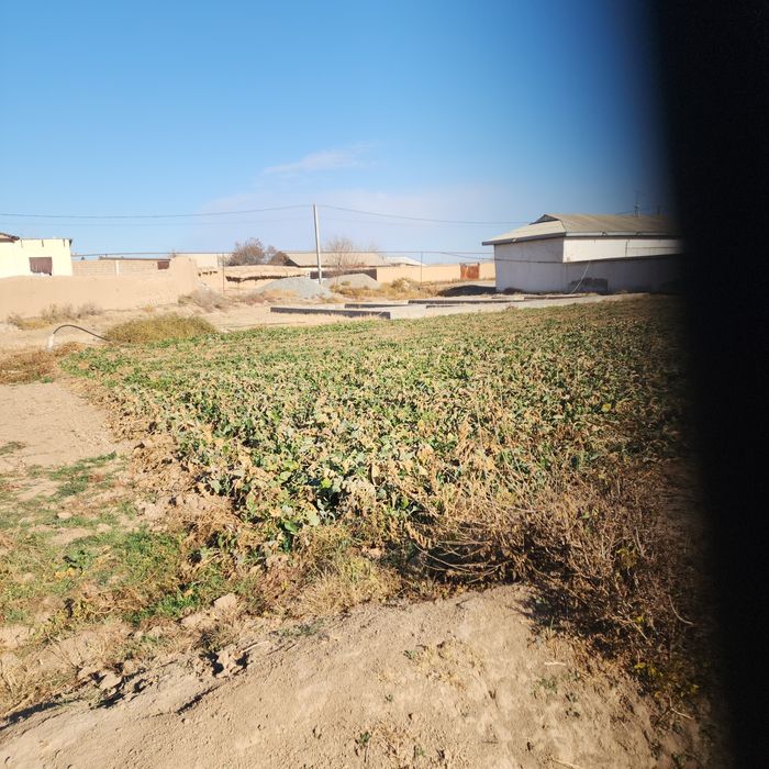 Yer sotiladi 12 sotix