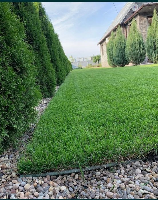 Услуги Садовника