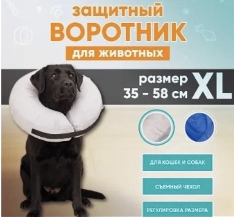 Воротник защитный для собак