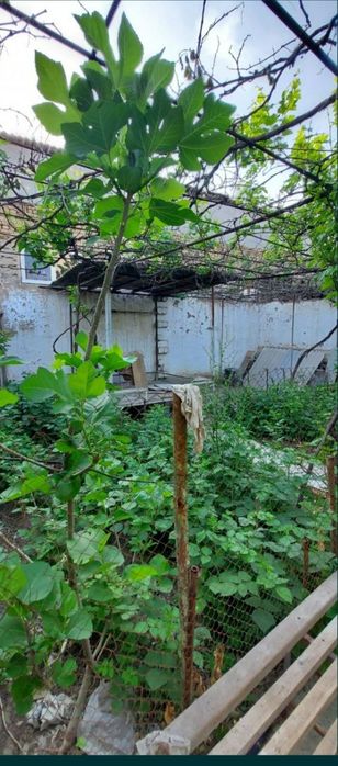 Продаётся участок шумилоский городок ориентировочно обод маккон махаля