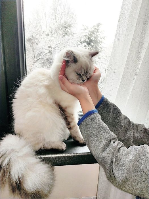 Невская маскарадная.