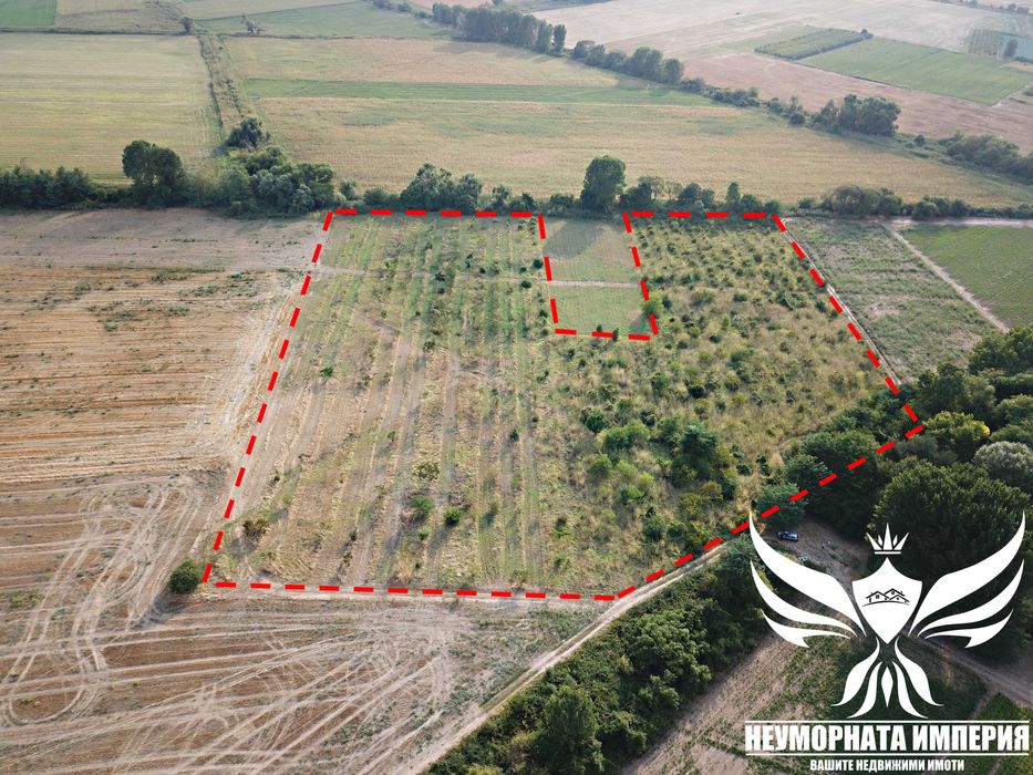 Продава се Парцел в с. Боянци, Област Пловдив - 29000 кв.м за 5 €/кв.м - Снимка #4