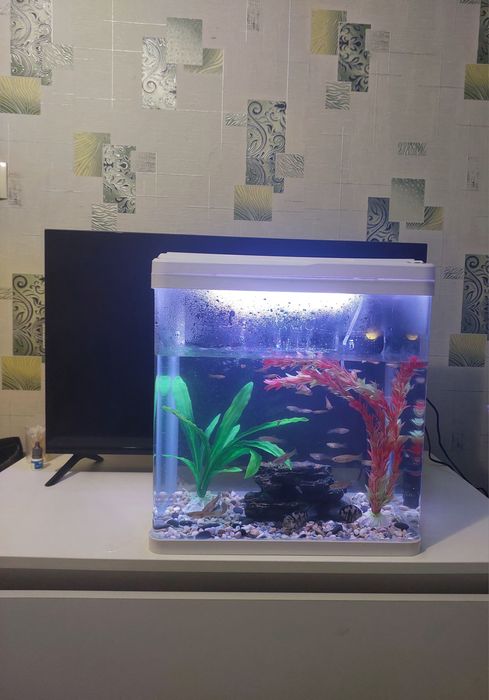 Аквариум рыбки, корм, филтр