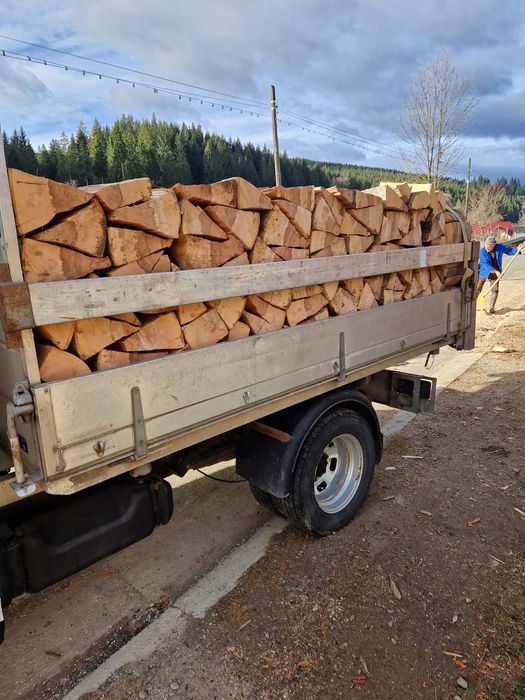 Lemne de foc esenta tare fag