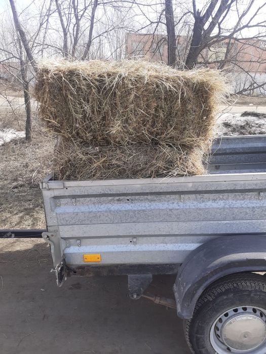 Сено тюкованное.