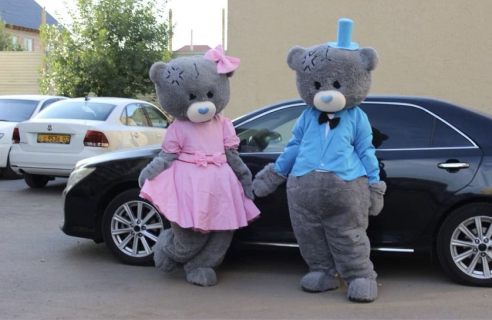 Аренда мишки тедди / Аниматоры