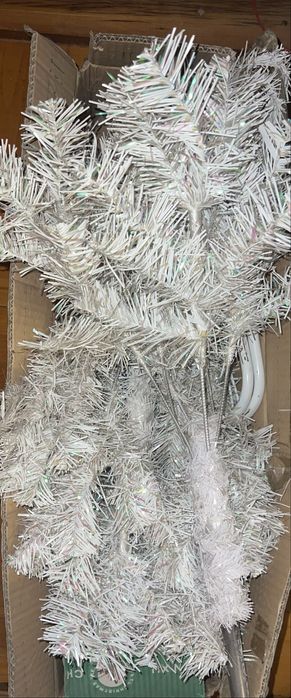 ёлка серебрыстый