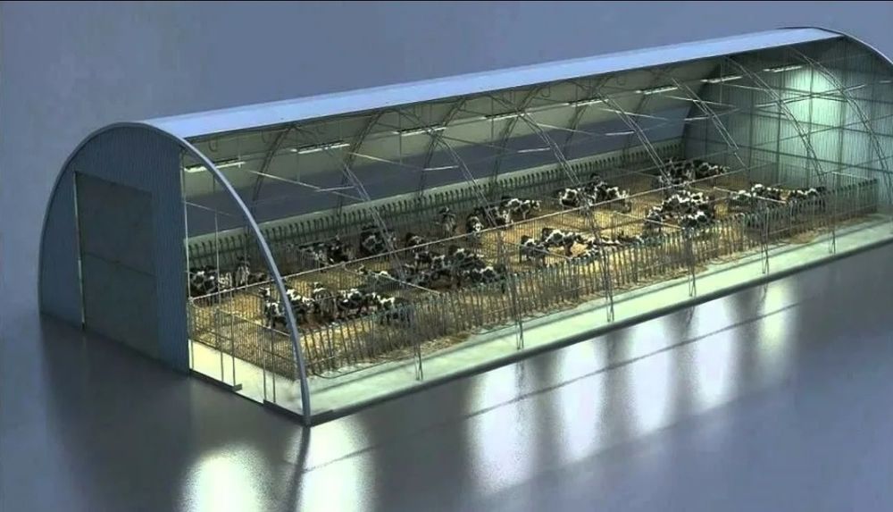 Животноводство Безкаркасный Ангар