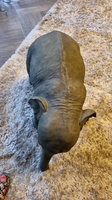 elefant fibra fibra de sticla si compozit