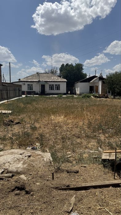 Мирзо Улугбек шахри Чингельди махалласи Янги Узбекистан Парк йонида