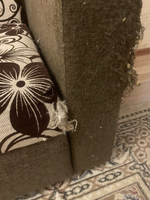 Отдам даром диван и тахту.