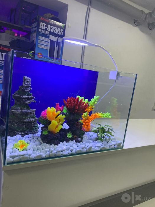 Akvarium va Baliqlar Do'koni MAGAZIN