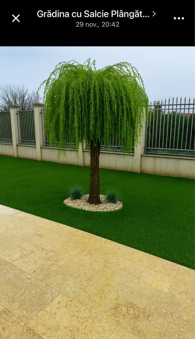 Gazon Rulou sport/rustic