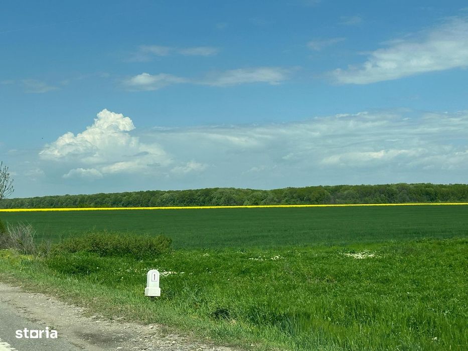 Teren intravilan de vanzare/inchiriere DN1 Ciolpani Ilfov