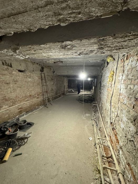 Нежилое помещение ЦУМ Аллея 470 м2