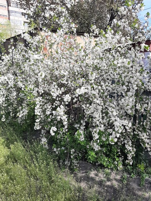 Продам часть дома в ЦЕНТРЕ