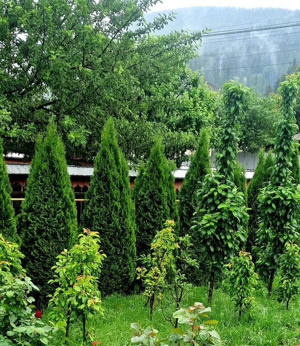 De vanzare casa cu teren pe DN15 între Bicaz și Cheile Bicazului