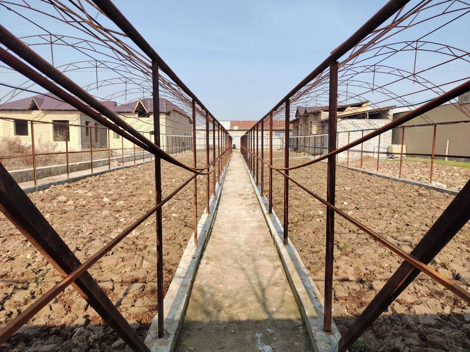 14 sotixli uy sotiladi, tayyor biznesi bilan!