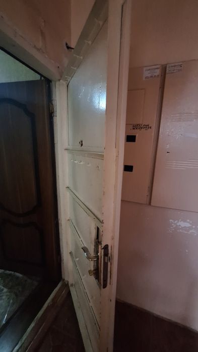 Двер, темрли Эшик (железный)