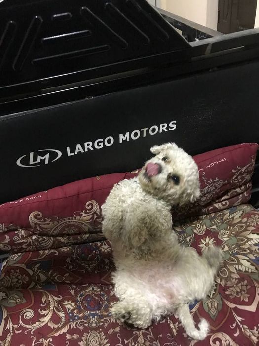 Itimiz soğlom emlangan manzil buxoro