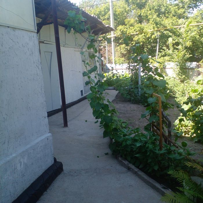 Продам Дом в центре