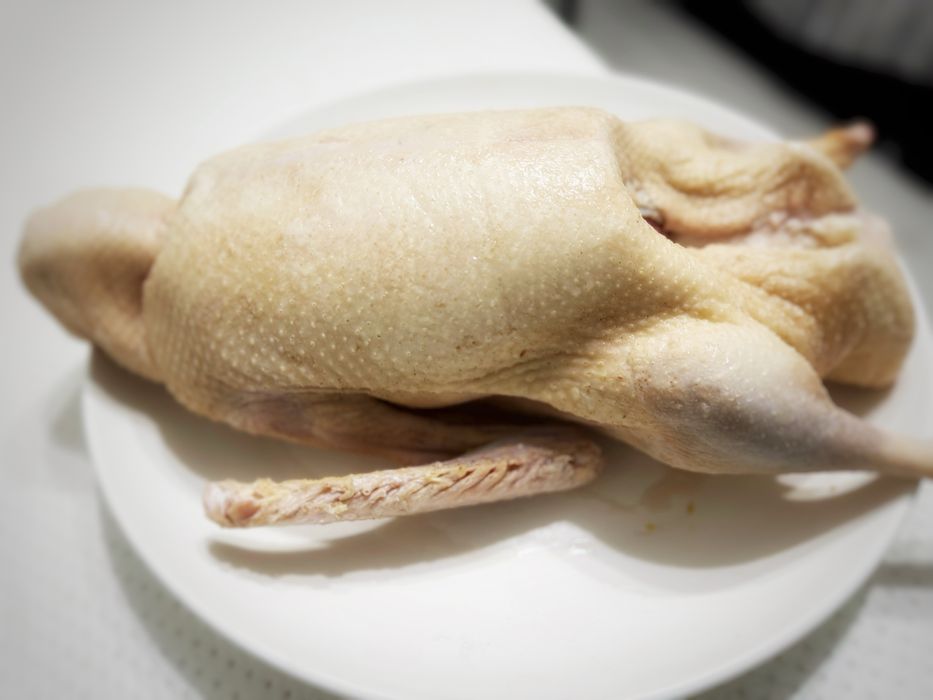 Гуси оптом, қаздар