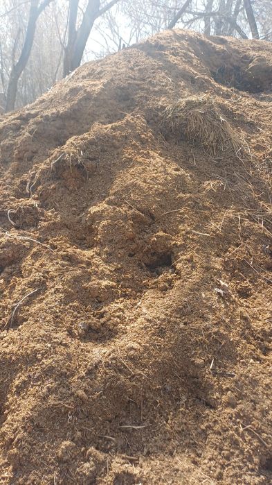 Навоз конский бесплатно