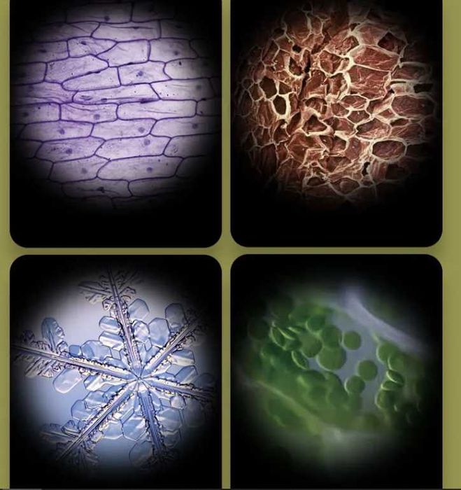Muzicuțe pentru copii, spirograf, microscop portabil copii