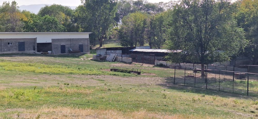 Сдам в аренду ФАЗЕНДУ
