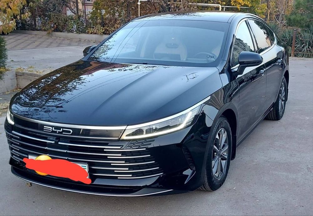 Byd chazor 1pozitsiya 55km