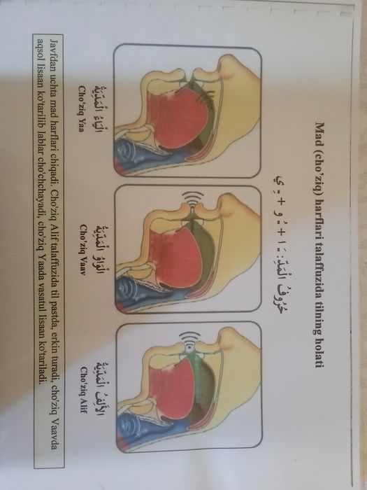 Onlayn va oflayn Arab tili kurslariga taklif qilamiz