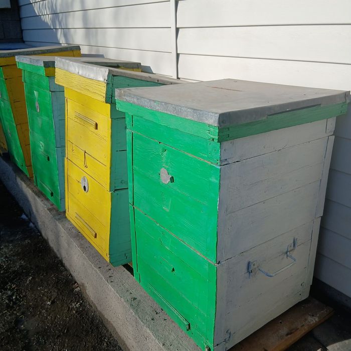 Продам улики ладан