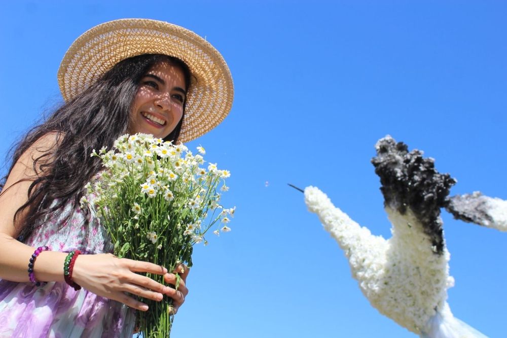 Ayol fotograf xizmati. Muslima qizlarimiz uchun. Hamyonbop narx