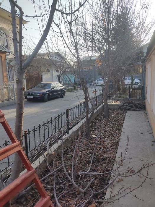 Daraxt kesish abrezka agranom