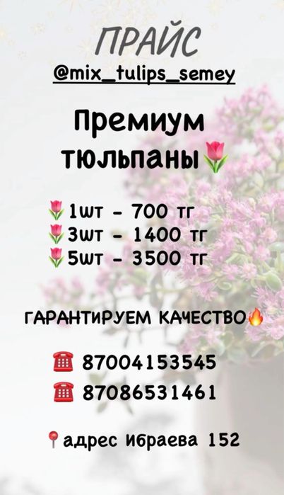 Тюльпаны Премиум