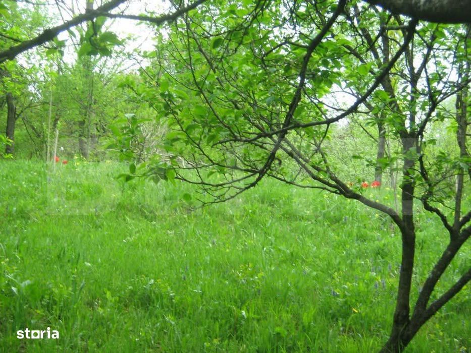Teren de vanzare, 884 mp, zona Runcu