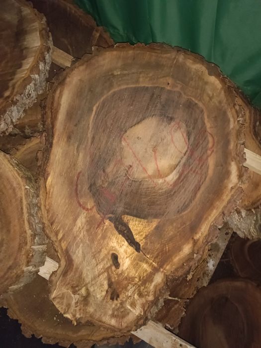 Rondele felli din lemn de nuc