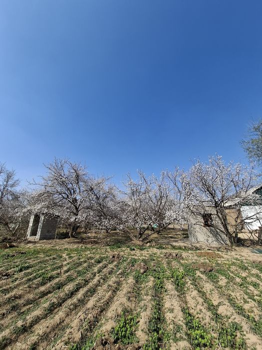 12 sotx uchaska+bogʻ sotiladi