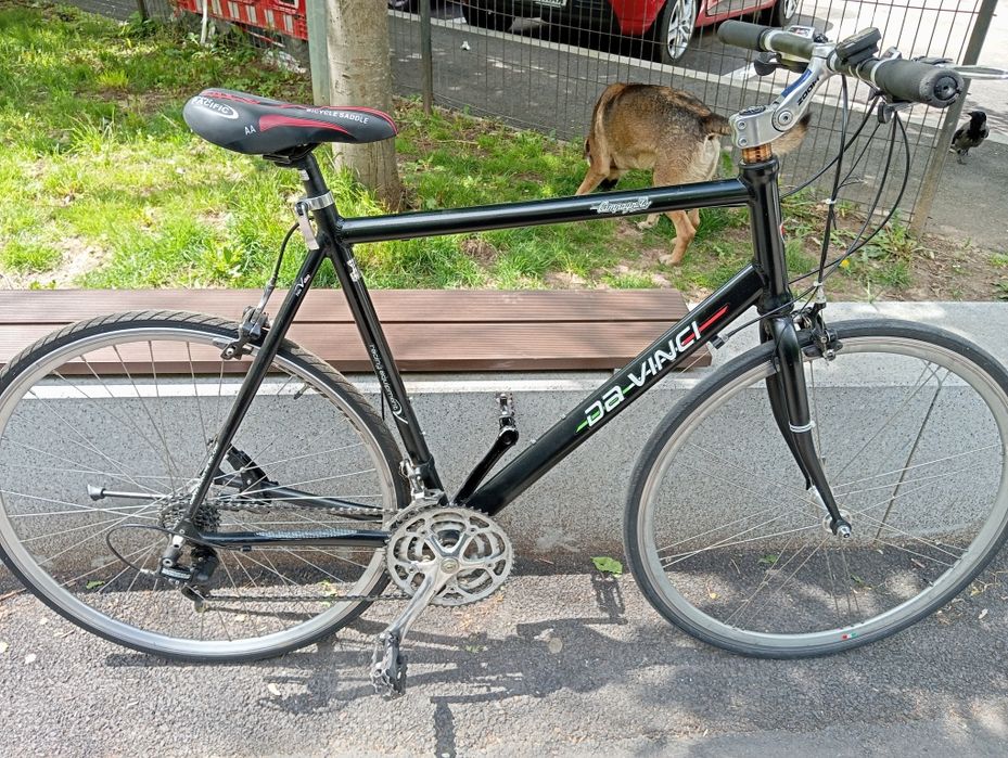 Bicicleta Campagnollo Da Vinci 28