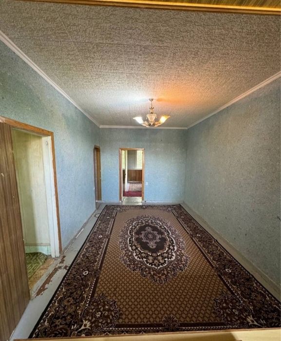 Феруза Массив 2/4/4 Ориентир Школа 223/221