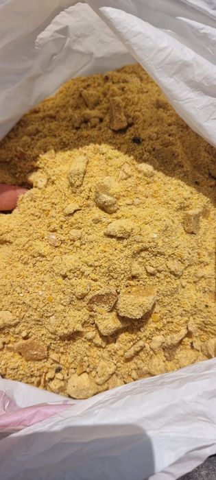 Srot floare soarelui