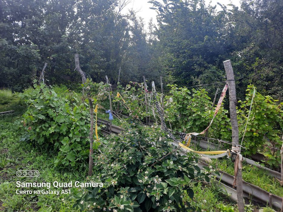 Продам дачу на 2й дачной поворот