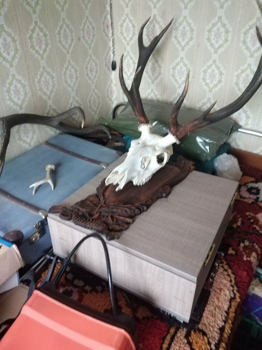 Продавам Ловеи трофей от Елен