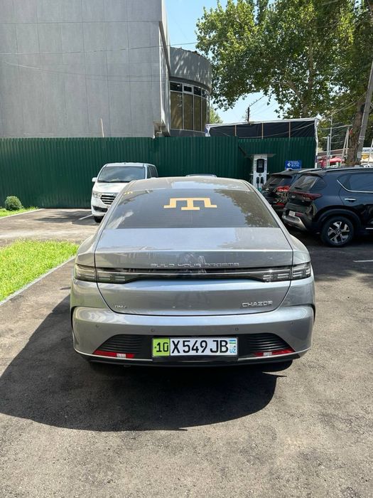 BYD Chazor 2024/25