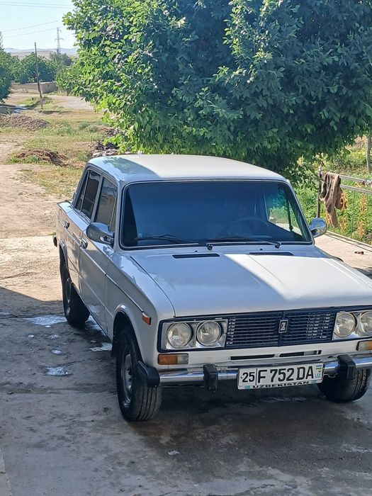 Miniwga tayor mator moy yemidi