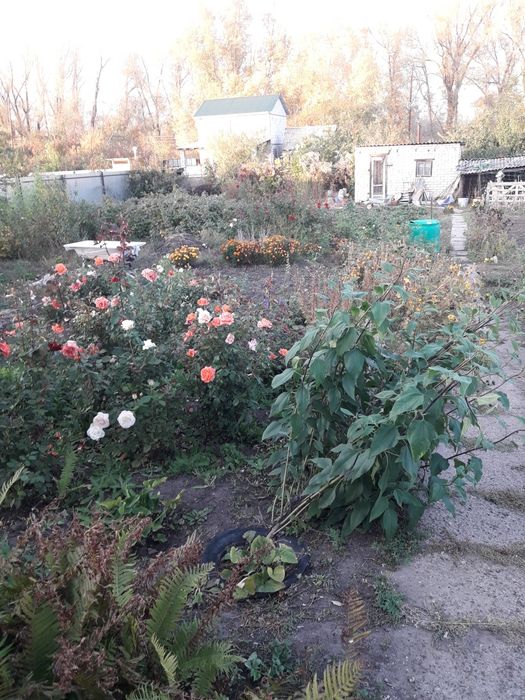 Срочно!Продам дачу