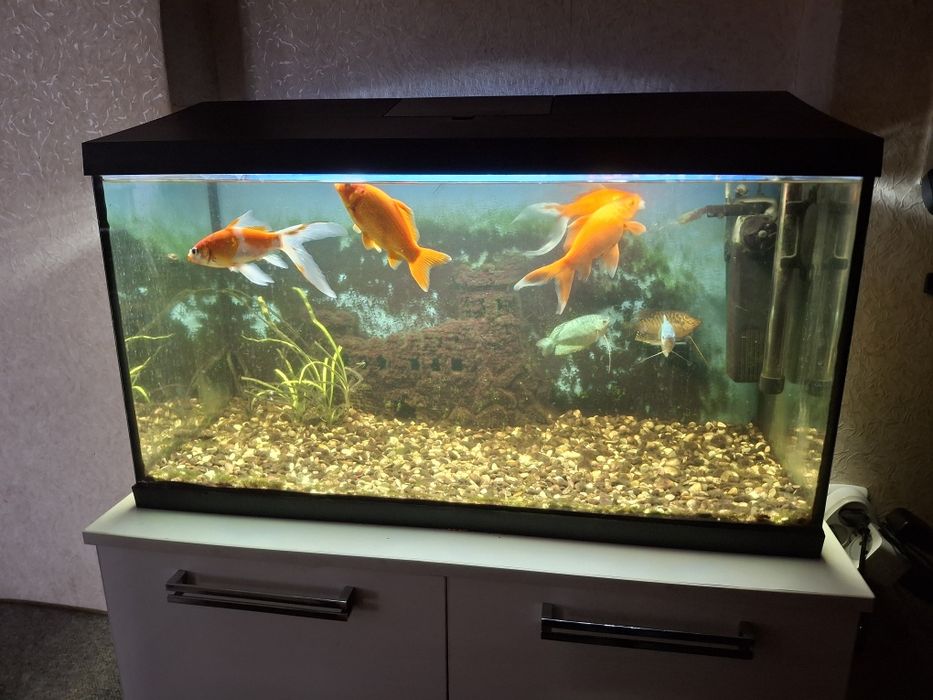 Аквариум 105 литров с рыбками