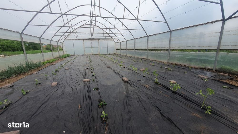 PROPRIETAR, Vând casă în orașul Piatra - Olt, jud. Olt